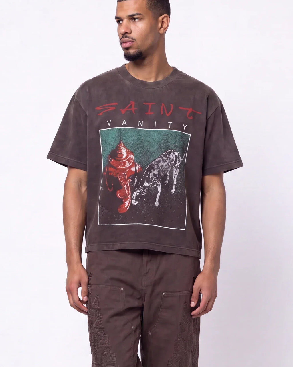 Saint Vanity Tiger Graphic Cropped Tee Washed Black