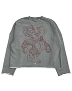 Saint Vanity Badgers Crewneck Grey