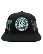 Saint Vanity Vain Life Ducks Snapback Black