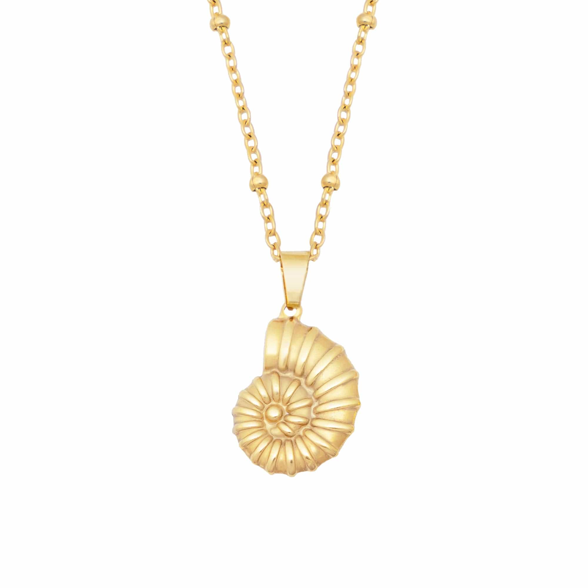 Ursula Shell Necklace